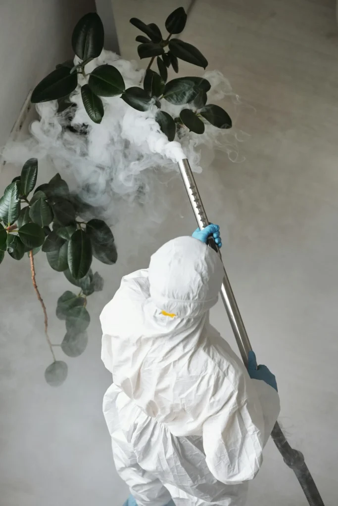 Trusted Pest Control - Beaumont Best Pest Pros | Beaumont, CA | 951-596-5639